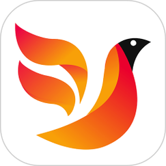 火焰鸟辅助安装游戏截图