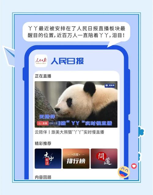 熊猫社区app直播