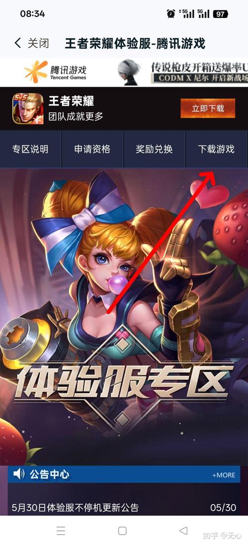 王者荣耀体检服外挂仲夏版游戏截图