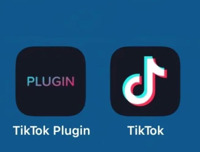 tiktok国际版内置菜单无限制游戏截图