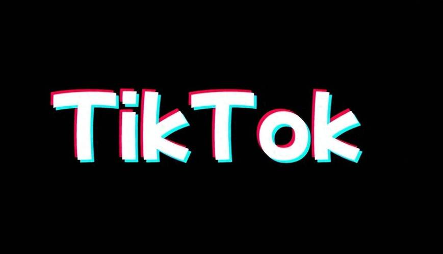 TIKTOK成年版安装页面版游戏截图