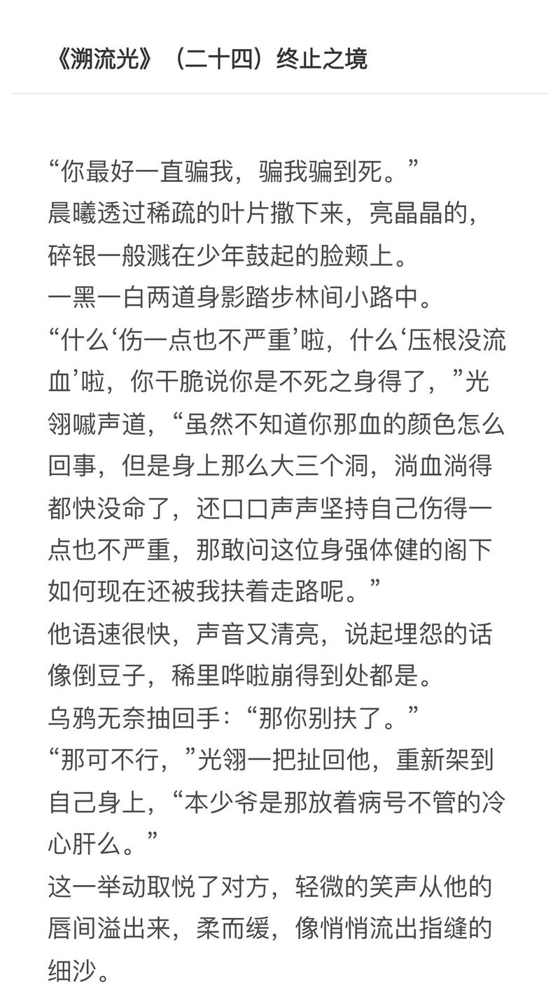 青鸾小说最新版