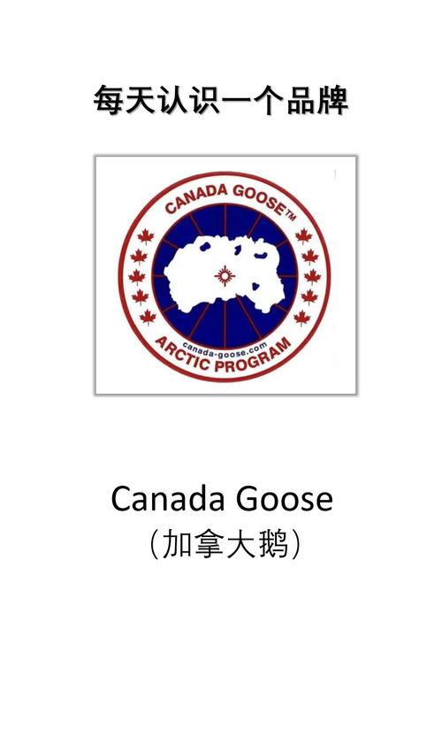 大鹅开黑现在叫什么游戏截图