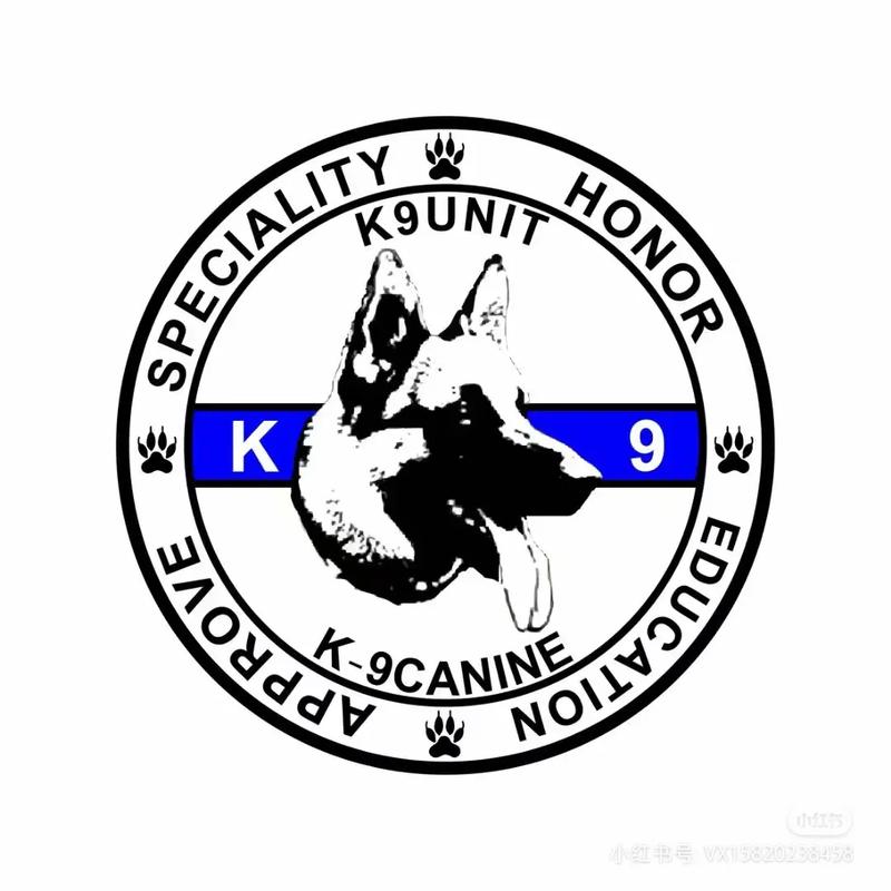 字母圈K9训练狗游戏截图