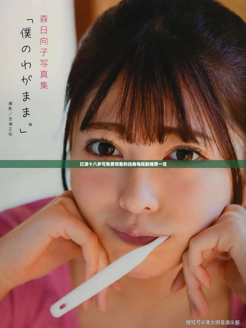 已满十八岁免费观看电视剧大全最新