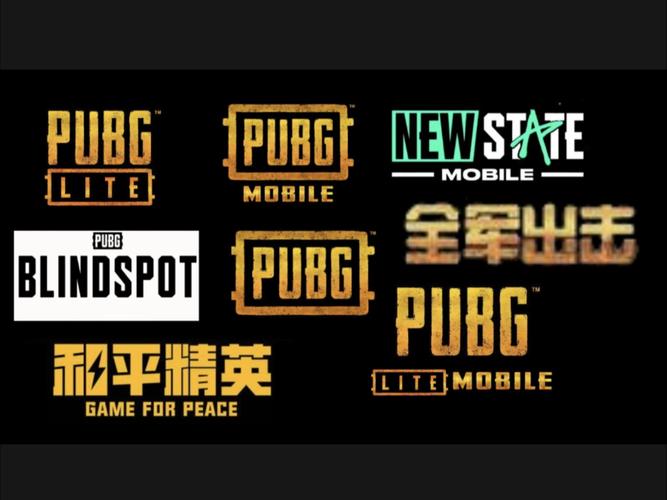 pubg体验服公益直装永久会员版游戏截图