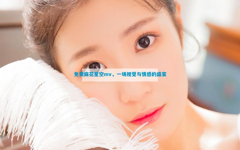 星空无痕mv免费观看麻花影视