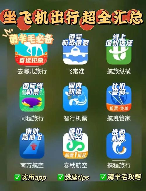 飞行集团破解版内置菜单修改器破解无限配额游戏截图