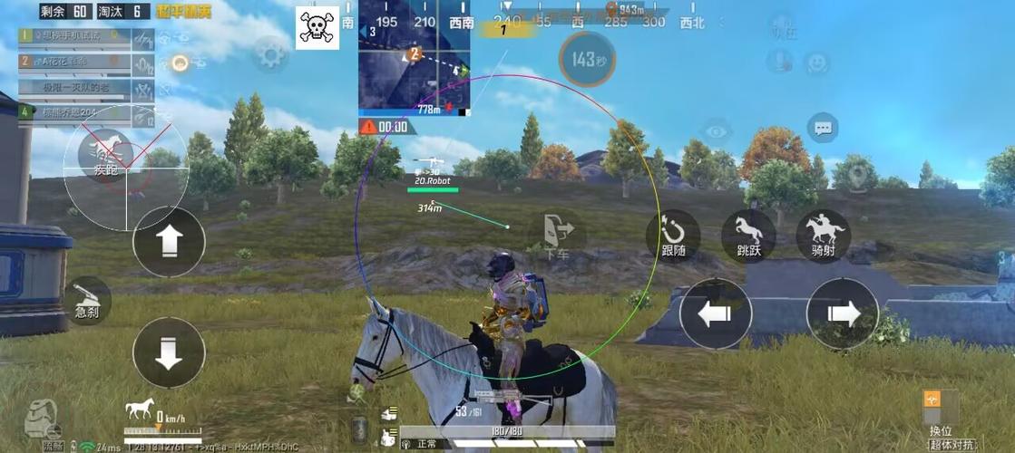 骷髅头直装和平精英