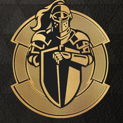 骑士国际版游戏截图