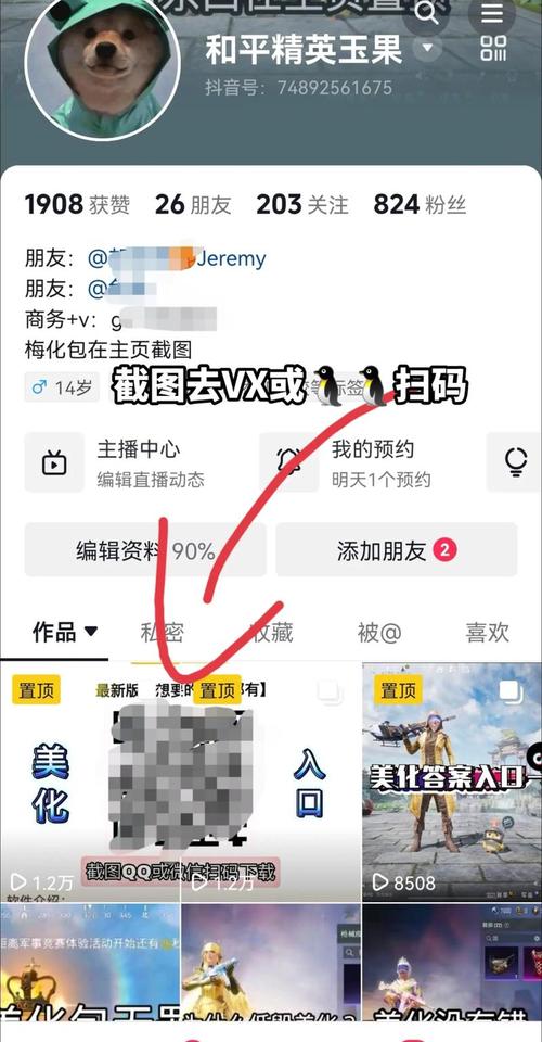美化助手和平精英极速版app