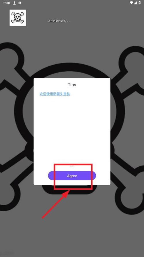 骷髅头直装和平精英游戏截图