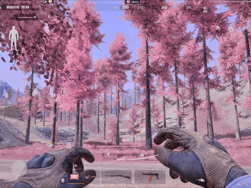 暗区突围透视外设辅助粉色版本