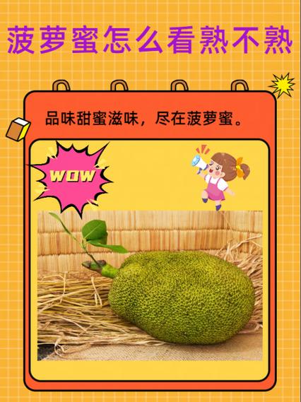 菠萝蜜视频在线看