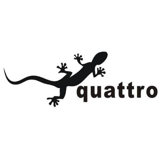 壁虎视频游戏截图