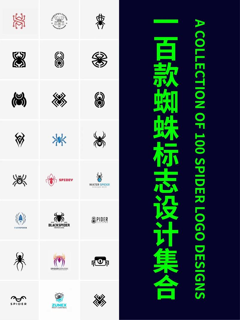 蜘蛛加速框架游戏截图