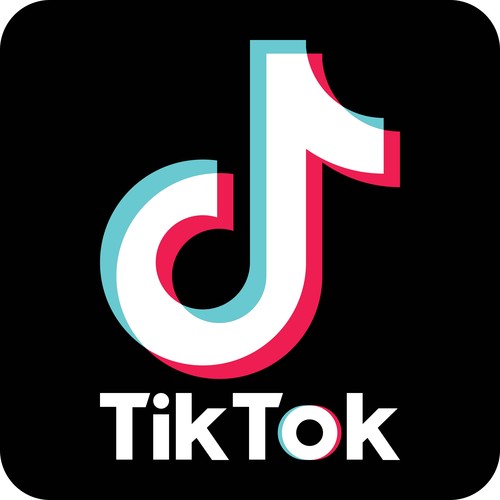 tiktok加速器永久免费版完整版游戏截图