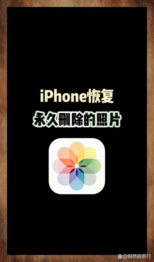 免费恢复永久删除的照片游戏截图