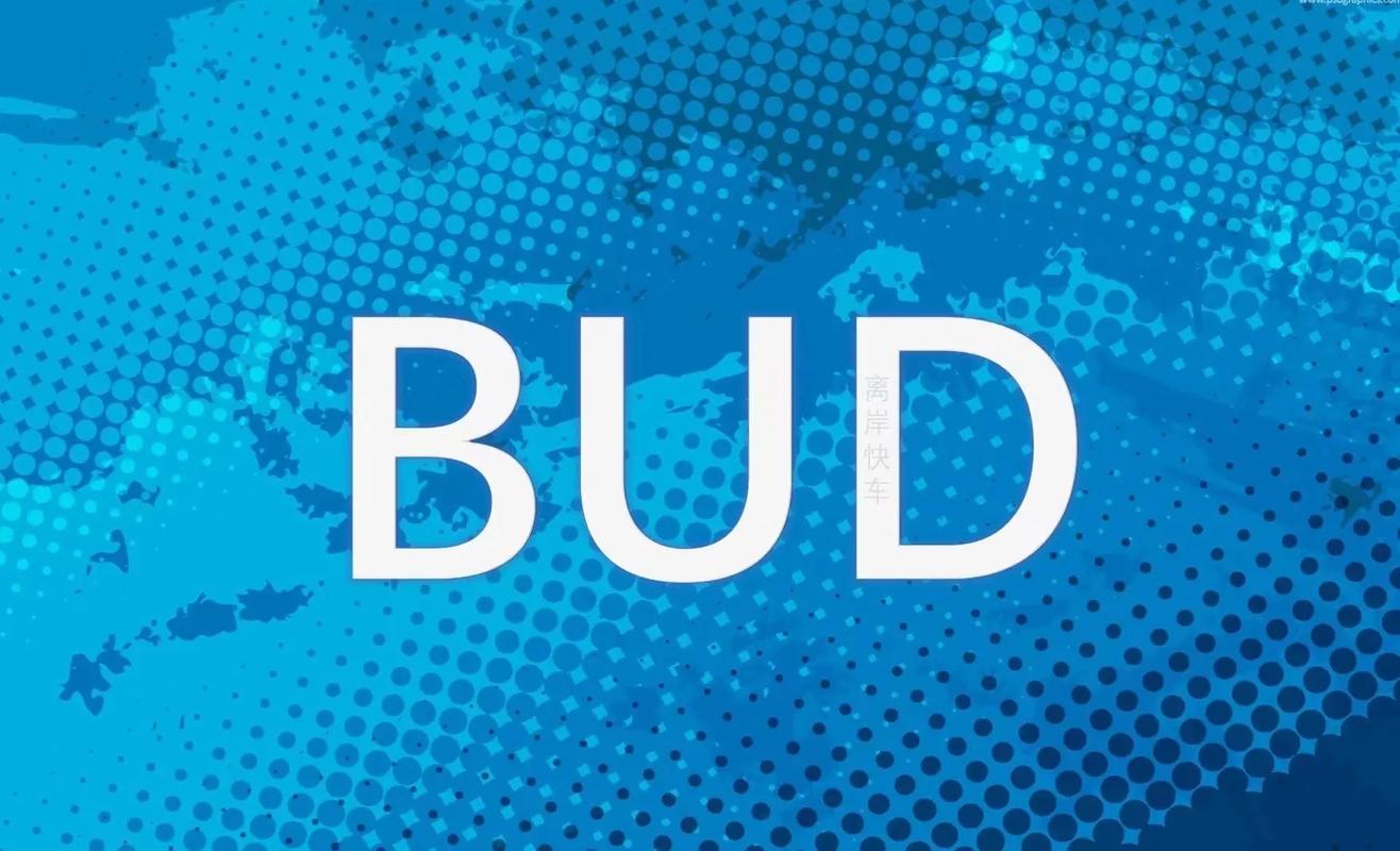 bud官方正版游戏截图