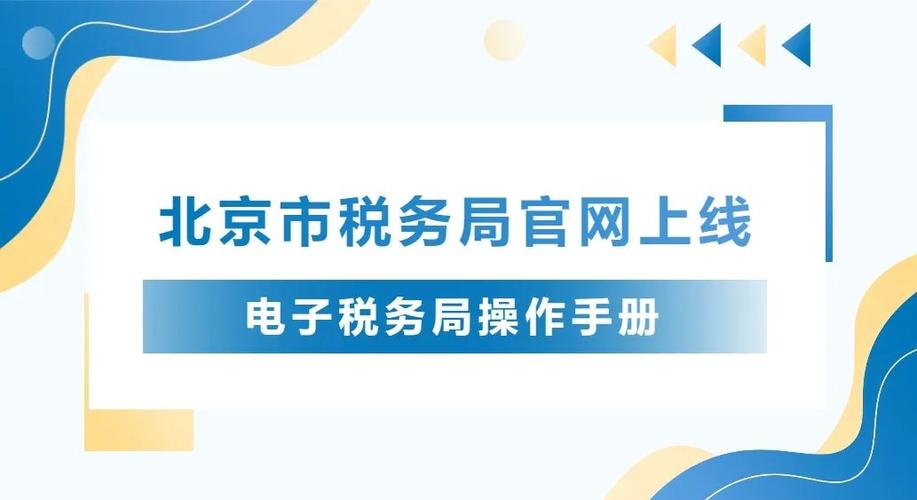 北京市电子税务局官网无弹窗版游戏截图