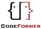 CodeFormer下载光环加速版游戏截图
