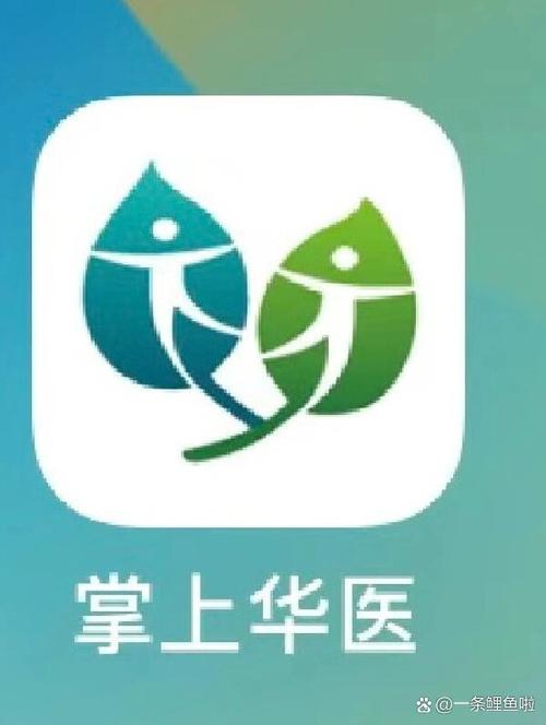 掌上华医老旧版