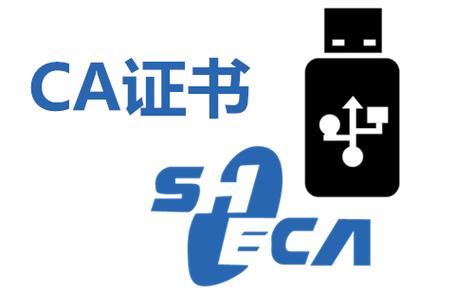 ca证书安装游戏截图