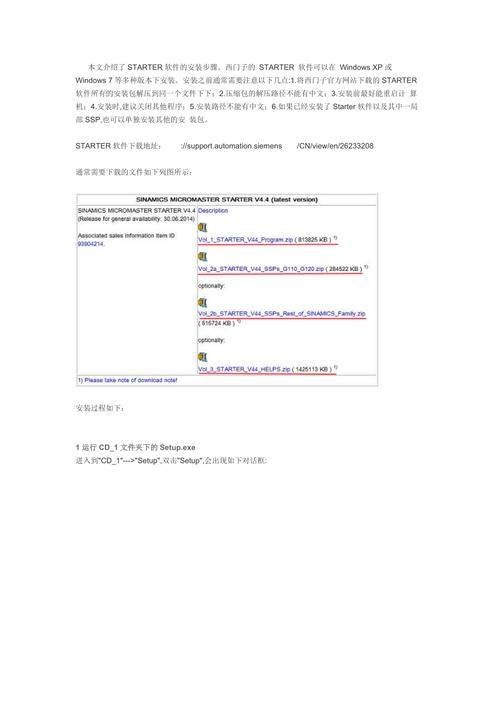 starter安装步骤游戏截图