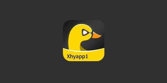 小黄鸭加速器nvp安卓版游戏截图