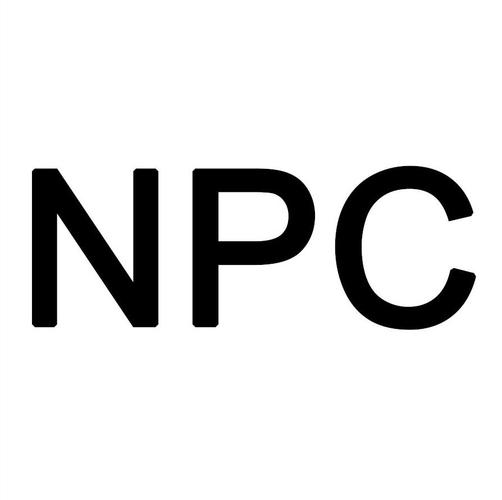 NPC下载安装游戏截图