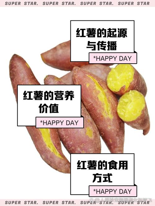 秦薯9号红薯简介