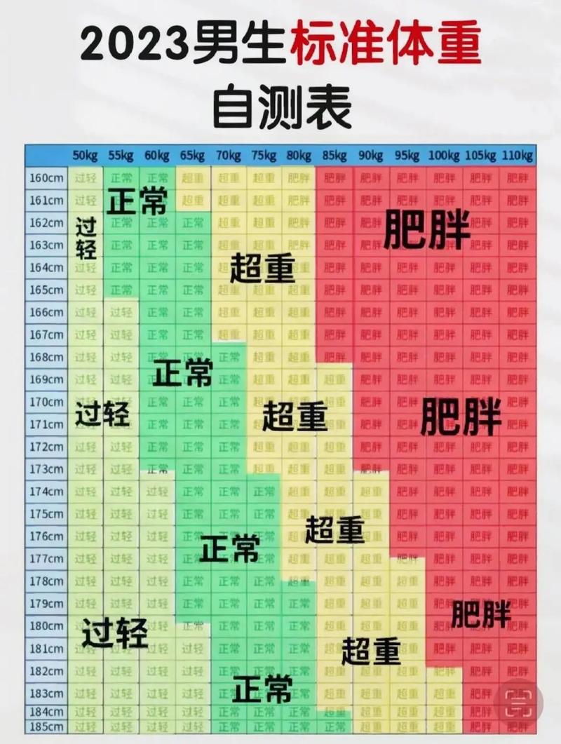 BMI计算器在线流鼻血版本