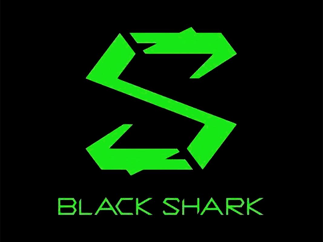 黑鲨阁官网游戏截图