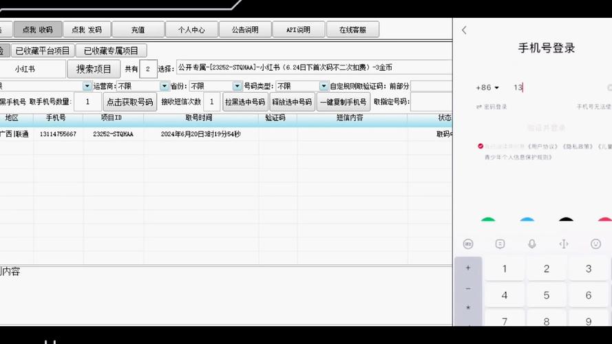 飞鱼接码平台3.0