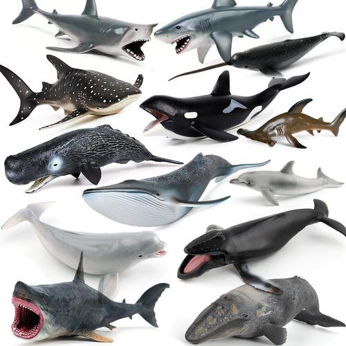 蓝鲸大还是虎鲸大红包正版