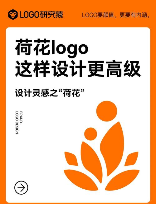 荷花热点游戏截图