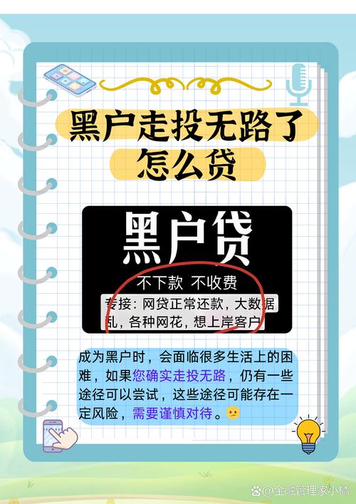 黑户急需用钱又贷不了款怎么办游戏截图