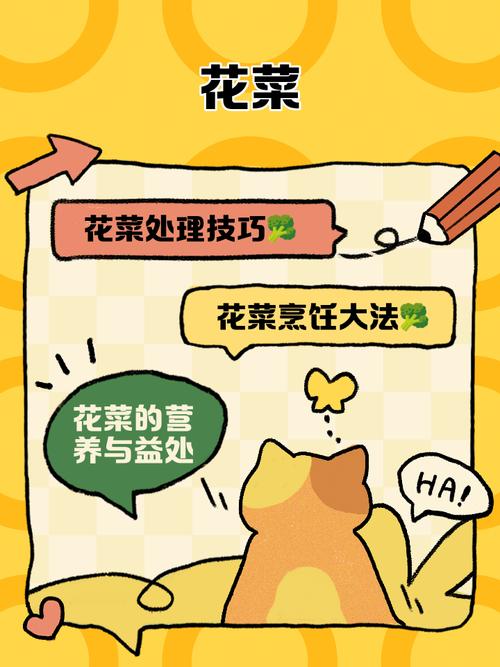 花菜资讯赚钱版免广告版