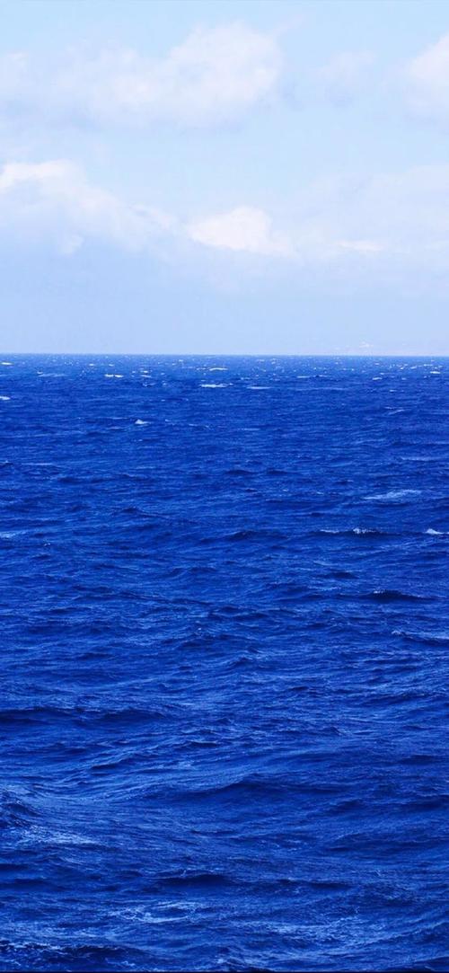 新沂市论坛手机版最新版安装方法蓝色旧版无广告