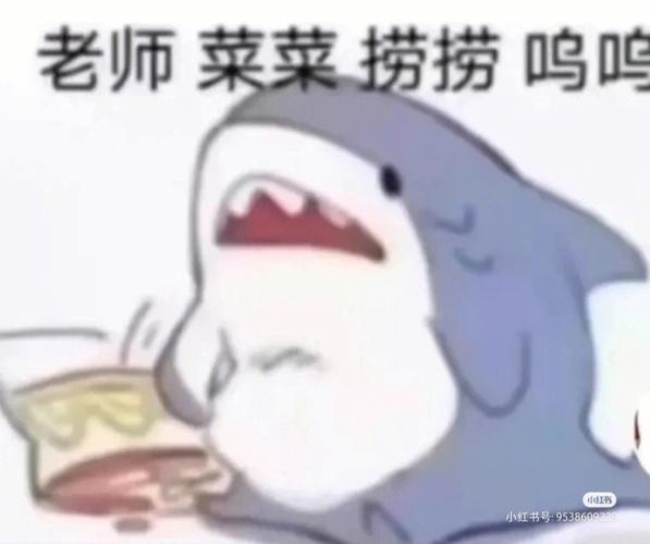 求老师捞捞的金句游戏截图