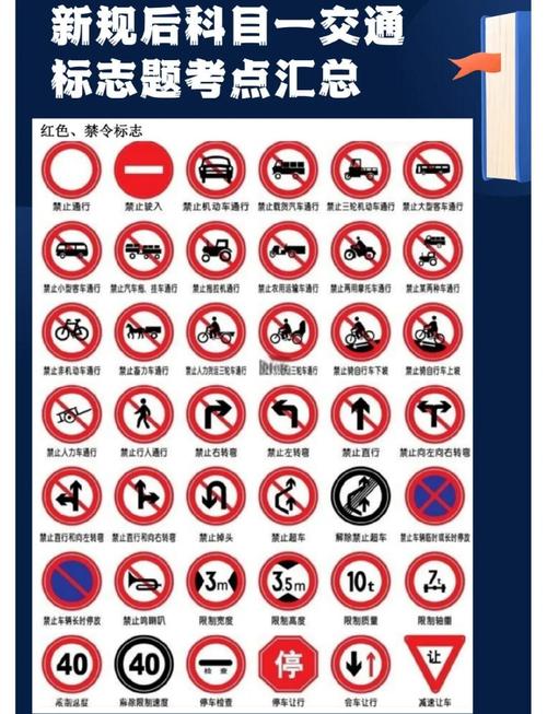 c2自动挡科目一考试题赚钱版游戏截图