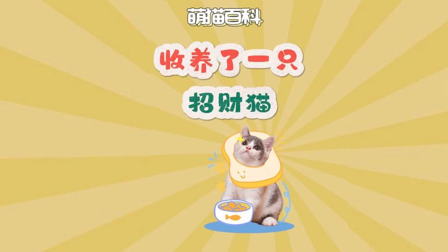 领养招财猫经典版无广告