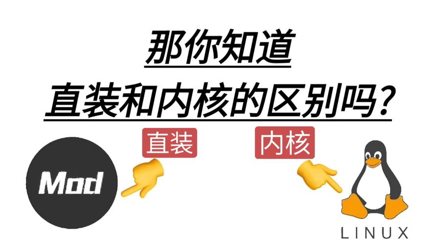 直装和内核挂的区别游戏截图