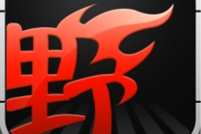 野火视频游戏截图