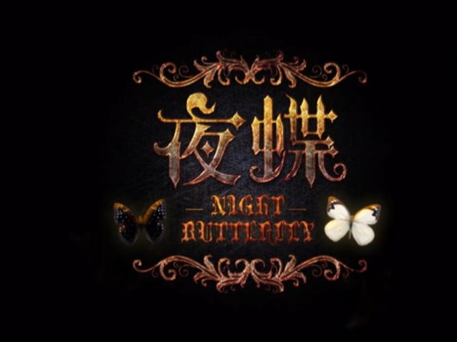 夜蝶视频游戏截图