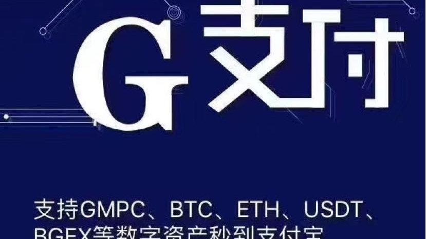 G支付图标