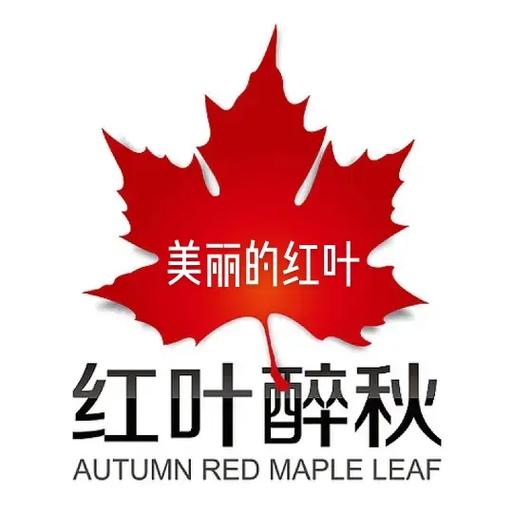 红叶阅读app图标