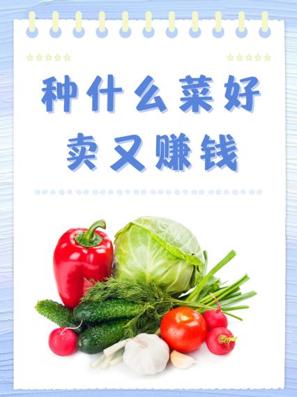 这菜真香赚钱版游戏截图