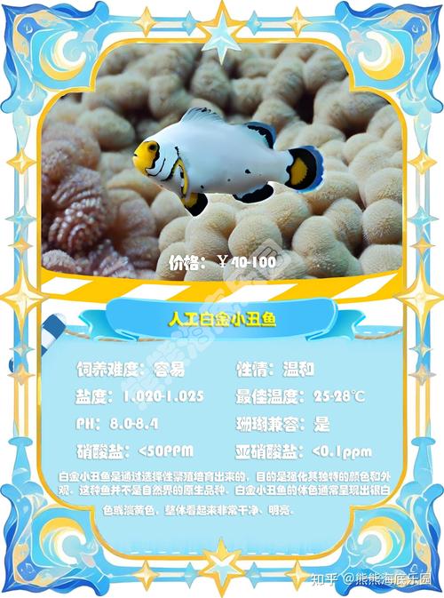 小丑鱼兼职v1.2.2