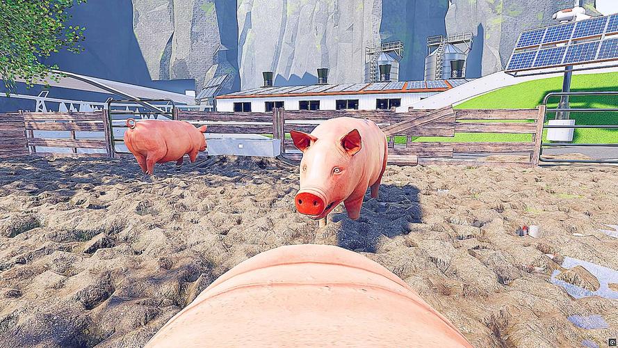 小猪模拟器中文